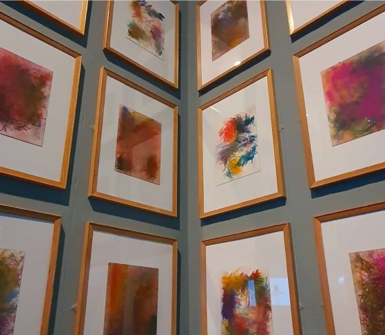 A vibrant wall showcasing various framed artworks in a museum setting